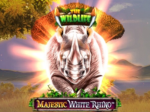 마제스틱 화이트 라이노 Majestic White Rhino