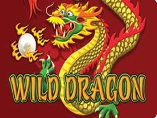 와일드 드래곤 Wild Dragon