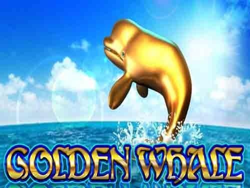 골든 웨일 Golden Whale