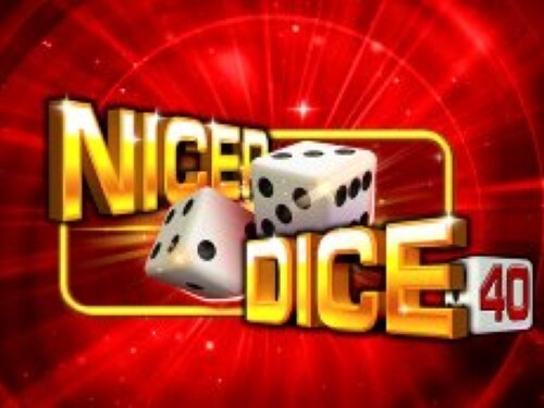 나이서 다이스 40 Nicer Dice 40