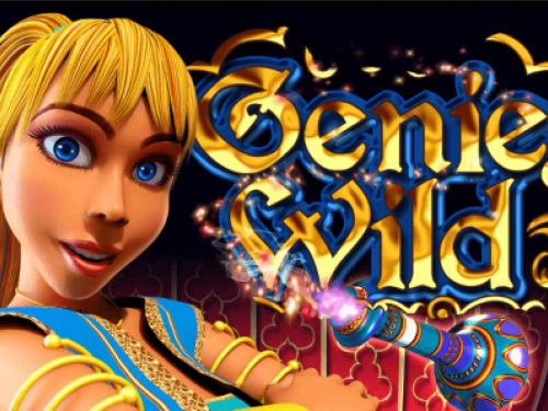 지니 와일드 Genie Wild