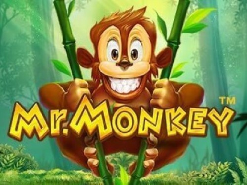 미스터 몽키 Mr. Monkey