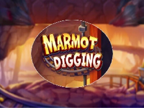 마못 디깅 Marmot Digging