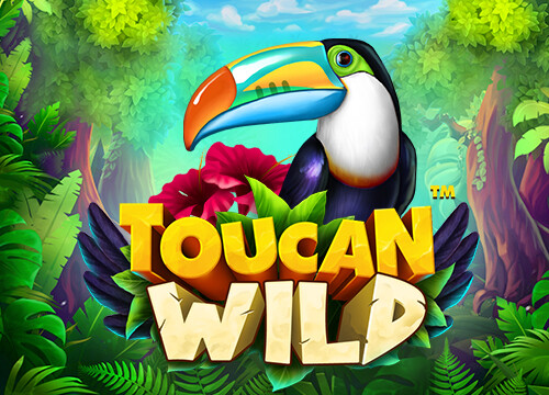 투칸 와일드 Toucan Wild