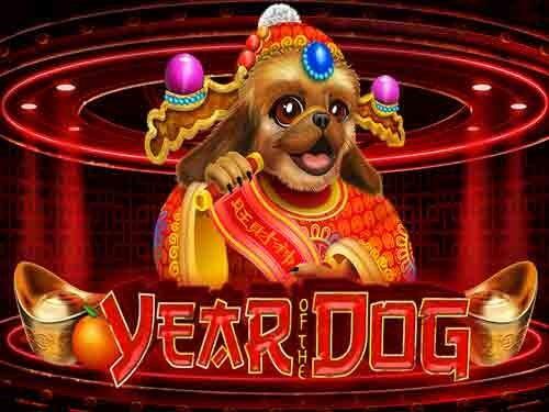 이어 오브 더 도그 Year of the Dog