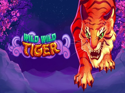 와일드 와일드 타이거 Wild Wild Tiger