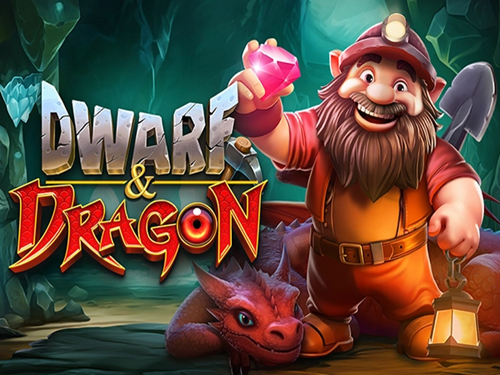드워프 앤 드래곤 Dwarf & Dragon