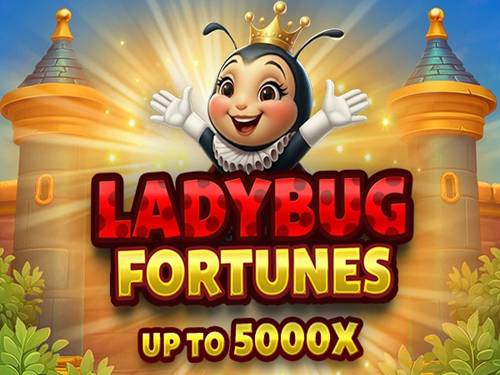 레이디버그 포춘스 Ladybug Fortunes