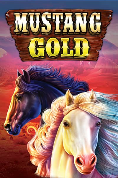 머스탱 골드 Mustang Gold