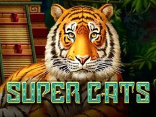 슈퍼 캣츠 Super Cats