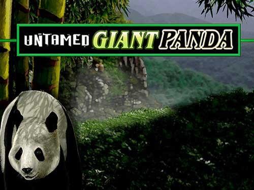 언테임드 - 자이언트 판다 Untamed - Giant Panda