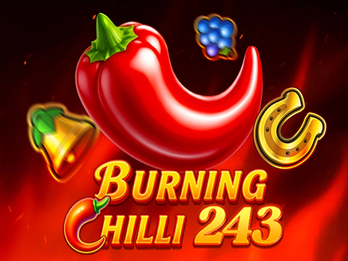 버닝 칠리 243 Burning Chilli 243