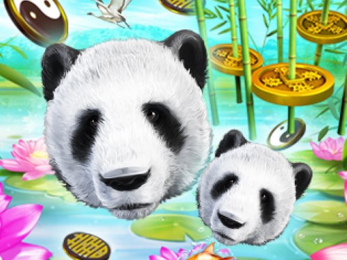 와일드 자이언트 판다 Wild Giant Panda