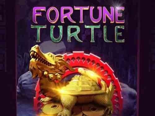 포춘 터틀 Fortune Turtle