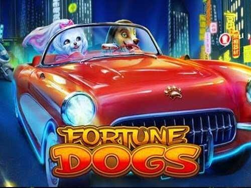 포춘 독스 Fortune Dogs