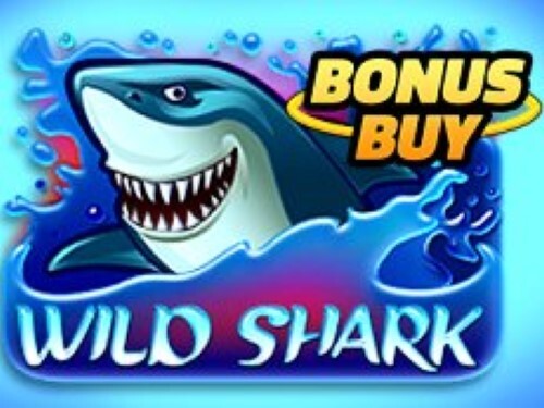 와일드 샤크 보너스 바이 Wild Shark Bonus Buy