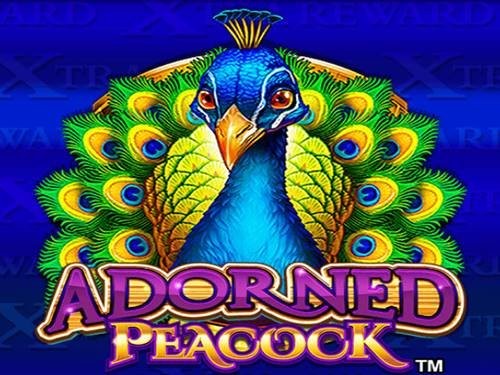 어도언드 피콕 Adorned Peacock