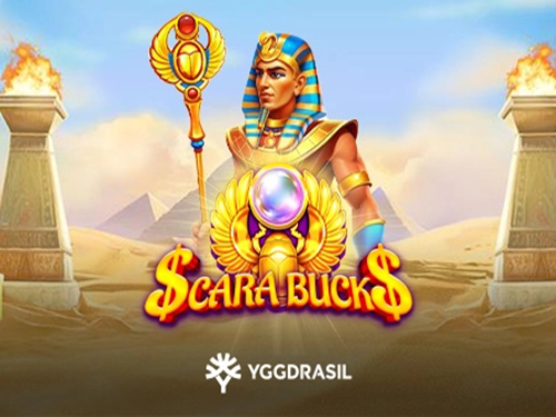 스카라 벅스 Scara Bucks