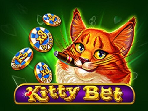 키티 벳 Kitty Bet