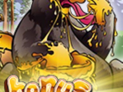 보너스 베어 Bonus Bear