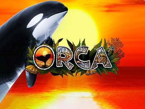 오르카 Orca