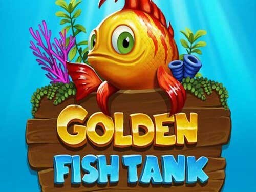 골든 피시 탱크 Golden Fish Tank