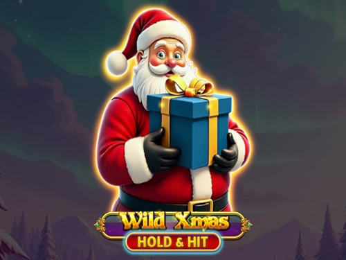 와일드 엑스마스 홀드 앤 히트 Wild Xmas Hold & Hit