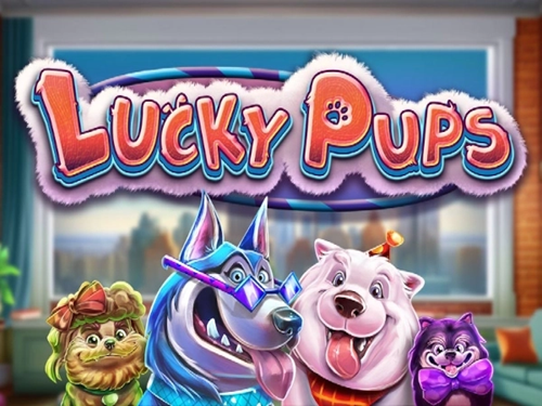럭키 펍스 Lucky Pups