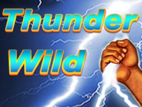 썬더 와일드 Thunder Wild