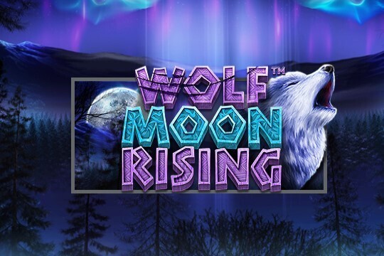울프 문 라이징 Wolf Moon Rising