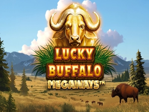 럭키 버팔로 메가웨이즈 Lucky Buffalo Megaways