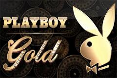 플레이보이 골드 Playboy Gold