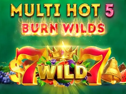 멀티 핫 5 번 와일즈 Multi Hot 5 Burn Wilds