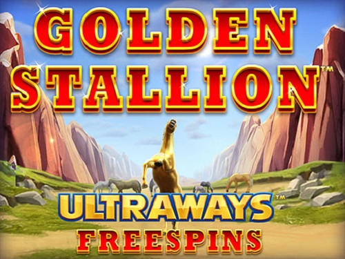 골든 스탤리언 Golden Stallion
