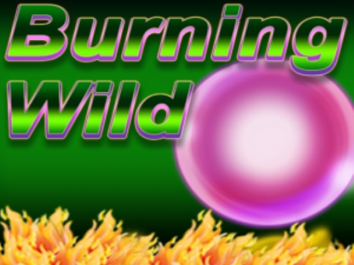 버닝 와일드 Burning Wild
