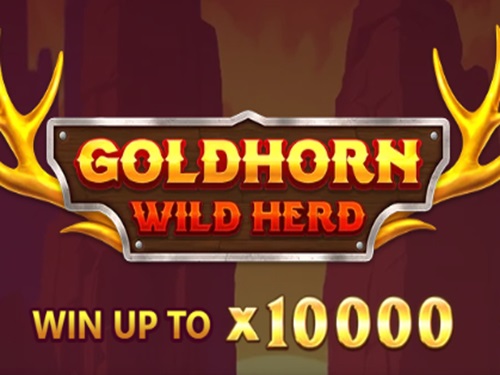 골드혼 와일드 허드 Goldhorn Wild Herd