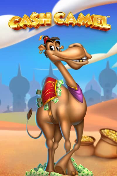 캐시 카멜 Cash Camel