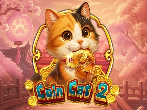 코인 캣 2