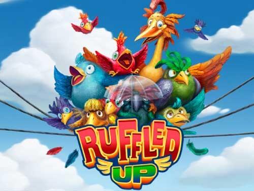 러플드 업 Ruffled Up