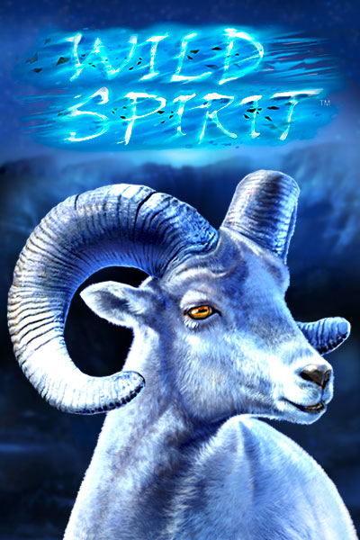 와일드 스피릿 Wild Spirit