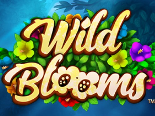 와일드 블룸스 Wild Blooms