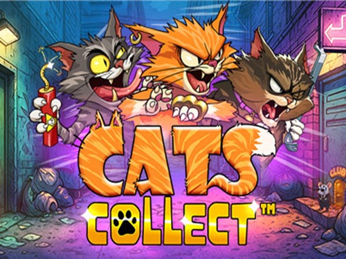 캣츠 컬렉트 Cats Collect