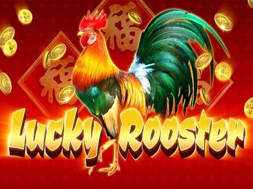 럭키 루스터 Lucky Rooster