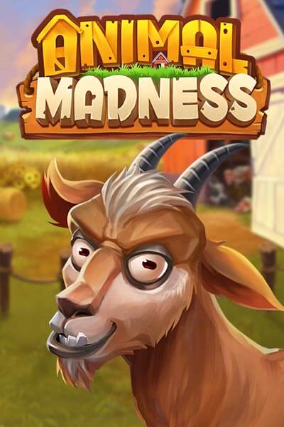 애니멀 매드니스 Animal Madness
