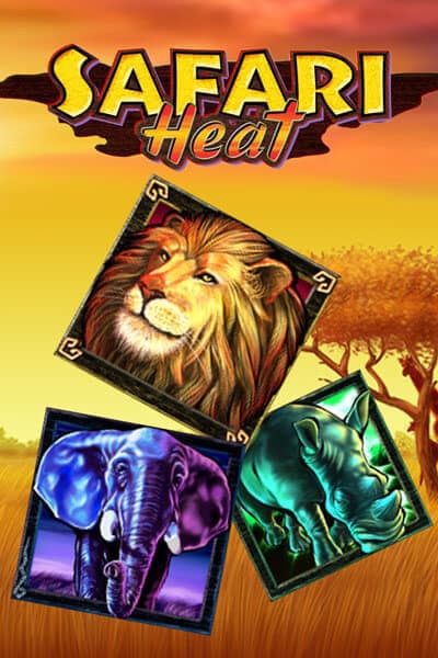 사파리 히트 Safari Heat