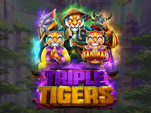 트리플 타이거스 Triple Tigers
