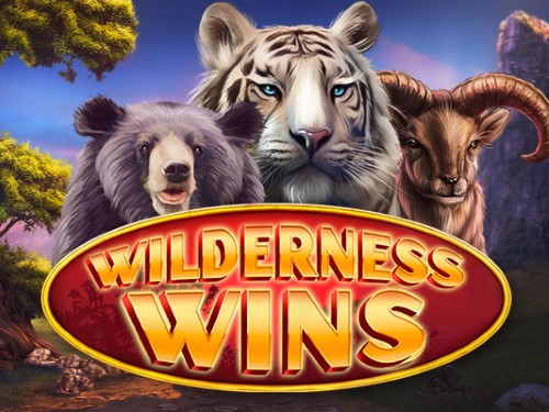 와일더니스 윈스 Wilderness Wins