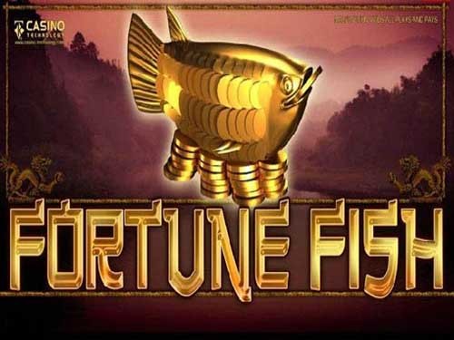 포춘 피쉬 Fortune Fish