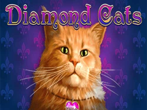 다이아몬드 캣츠 Diamond Cats