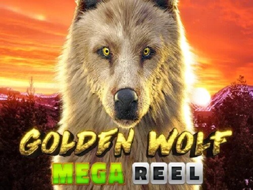 골든 울프 메가 릴 Golden Wolf Mega Reel